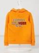 Tommy Hilfiger Kids Bluza z kapturem i wyhaftowanym logo