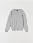 Sweter o regularnym kroju uszyty w 100% z bawełny. - kremowy