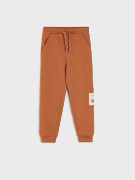 Spodnie dresowe typu jogger wykonane z wygodnej, bawełnianej dzianiny. - brązowy