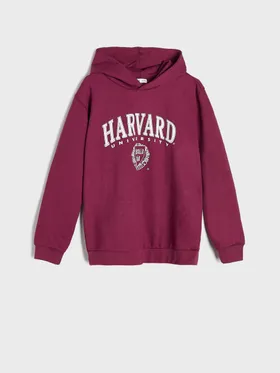 Bluza Harvard - Fioletowy