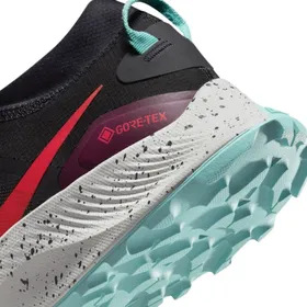 Męskie buty do biegania w terenie w każdą pogodę Nike Pegasus Trail 3 GORE-TEX - Czerń