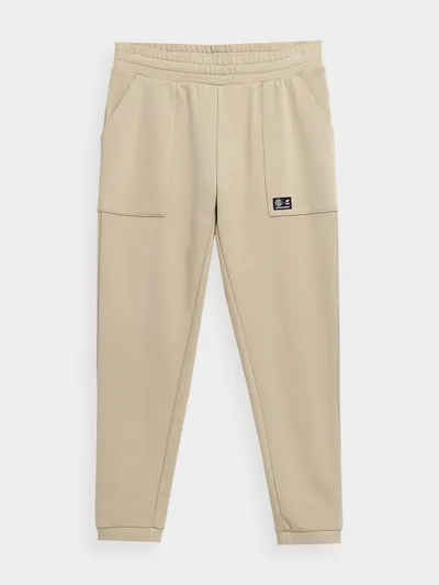 4F Spodnie dresowe joggery z bawełny organicznej męskie