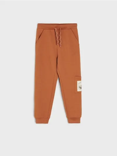 Sinsay Spodnie dresowe typu jogger wykonane z wygodnej, bawełnianej dzianiny. - brązowy