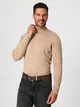 Dopasowany sweter z golfem uszyty z bawełny z domieszką wytrzymałego materiału. - beżowy