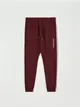 Bawełniane spodnie o kroju jogger z nadrukiem na nogawce. - czerwony