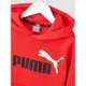 Puma Bluza z kapturem o kroju regular fit z nadrukiem z logo