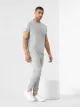 Spodnie dresowe joggery z bawełny organicznej męskie 4F x RL9