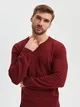 Bawełniany sweter o regularnym kroju z dekoltem w serek. - czerwony