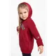 Bluza Champion Hooded Sweatshirt 305773-RS506 RED