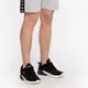 Spodenki Kappa ITALO Shorts, Regular Fit 309013 15-4101M GREY
